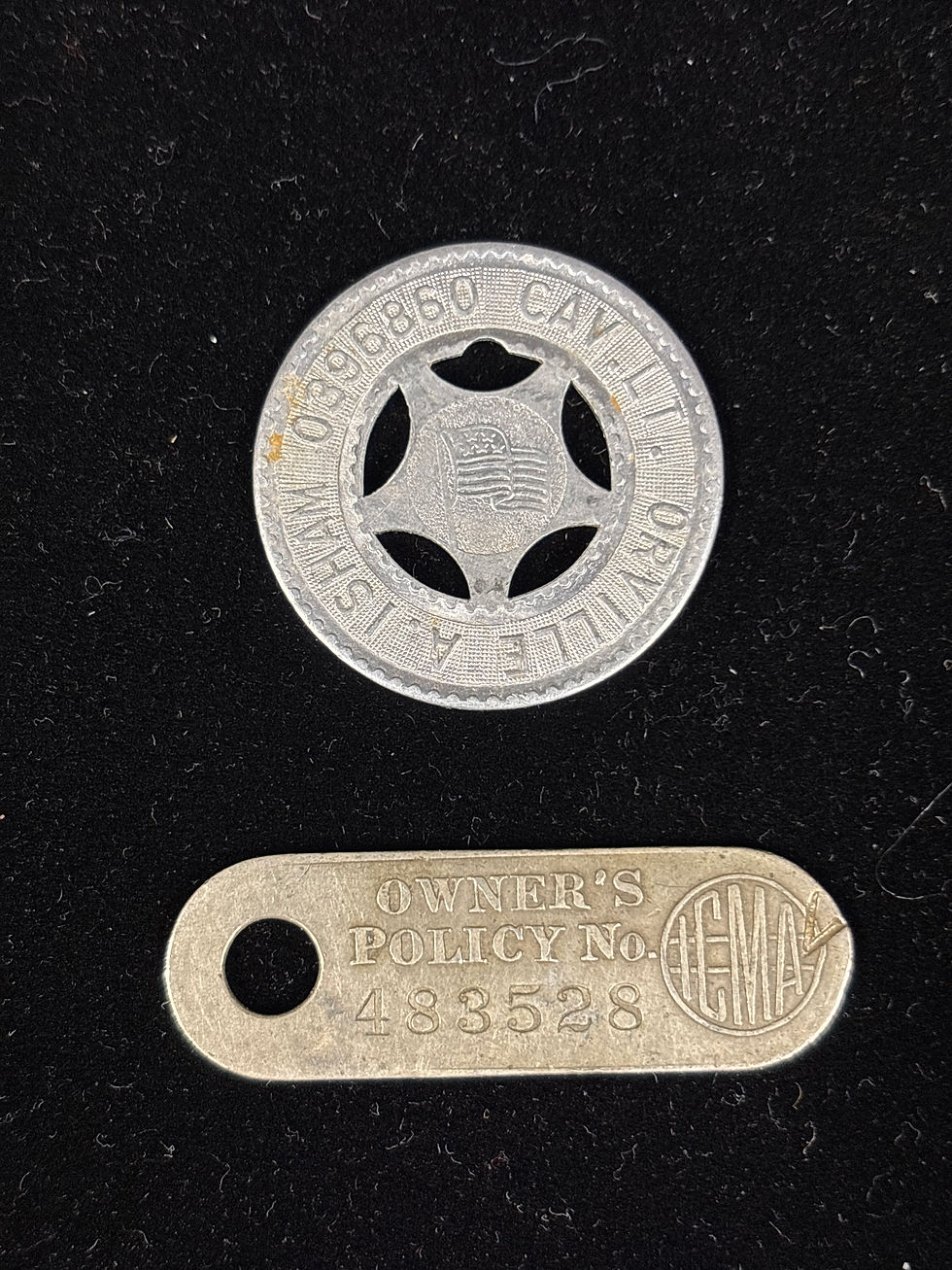 サムネイル： GROUPING OF PRE-WWII AND WWII DOG TAGS