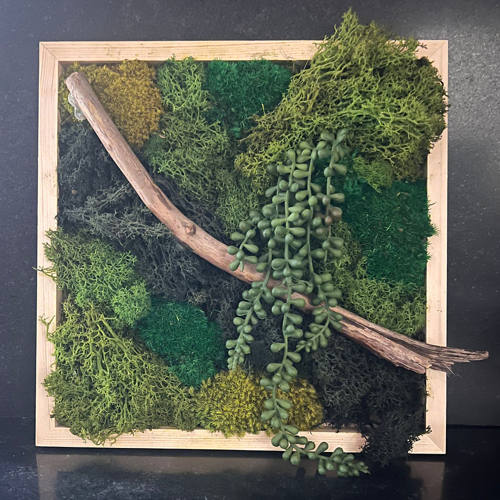 Moss Art Wall Hanging