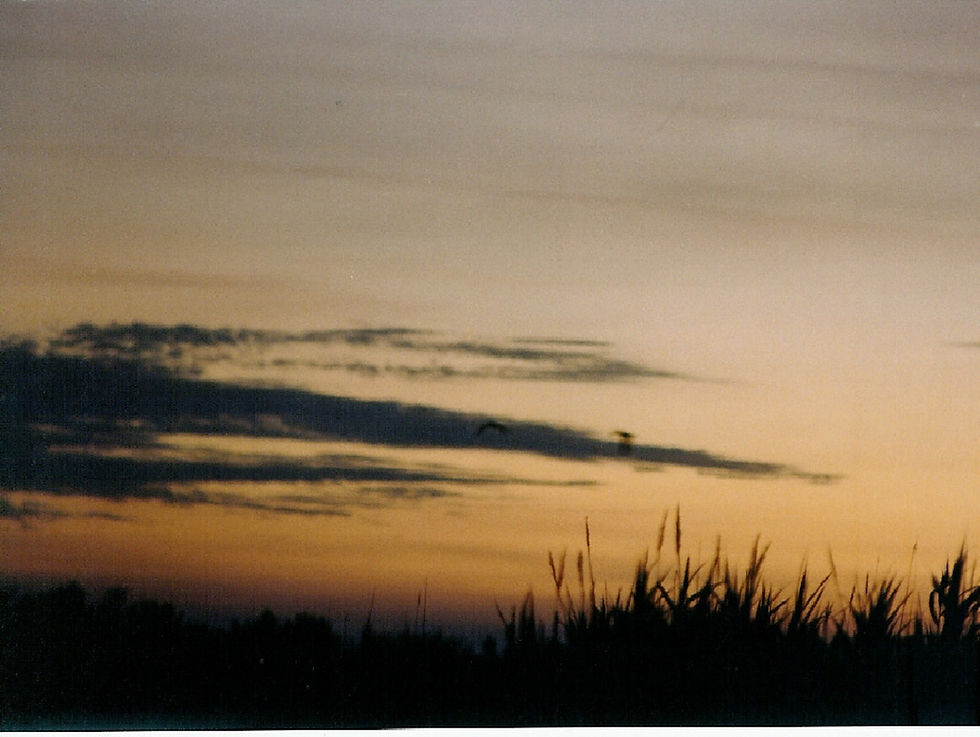 Clouds In The Sunset