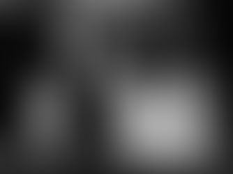 Evento celebra os 150 anos da imigração italiana no Brasil