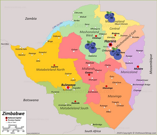 Blueberry Production in Zimbabwe. Where blueberries are grown in Zimbabwe