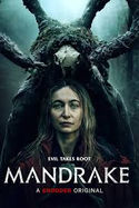 Mandrake poster cover featuring work by Stunt Action Manikins
