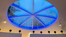 oculis lodge, skylight