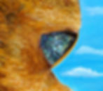 Tane close-up eye .jpg