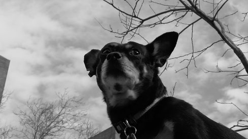 Cleo Outside Close up still 2.png