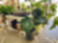 homepage4.jpg