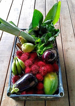 Photo of a basket containing local produce that is sitting on a wooden floor 