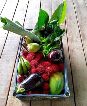 Photo of a basket containing local produce sitting on a wooden floor