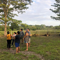 Regenerative project visit: Day 3