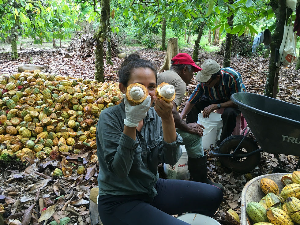 Photo of a young adult holding cocao beans in front of her face displaying them to the camera
