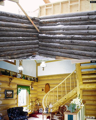 Log_Home_Restoration_nwt4.jpg