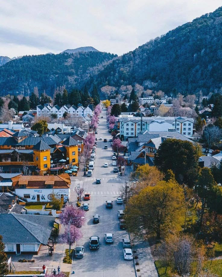 Vista panorámica de cabañas rodeadas de bosque en San Martín de los Andes