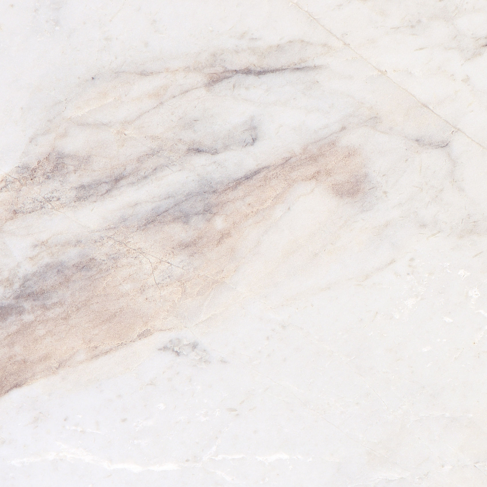 Valentino Bianco 18" x 18" Honed Marble Tile