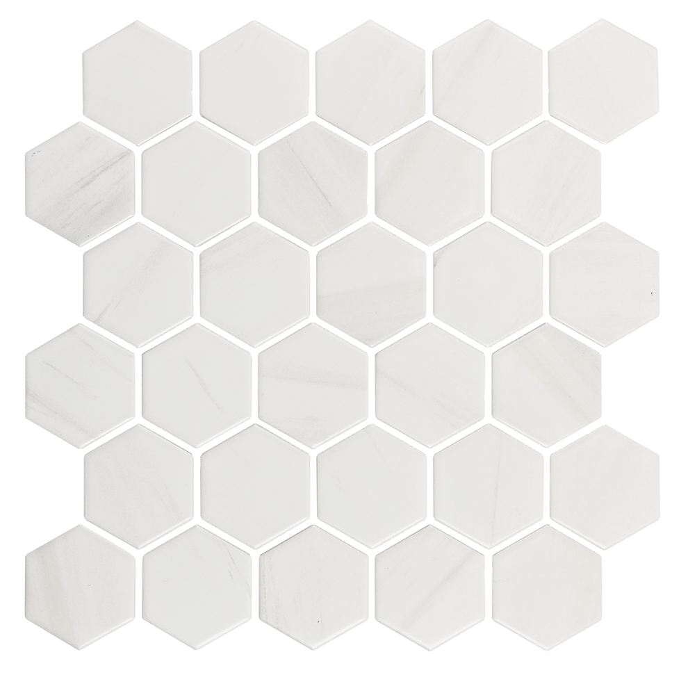Porcelain Glazed Dolomite 2" Hexagon Moasic