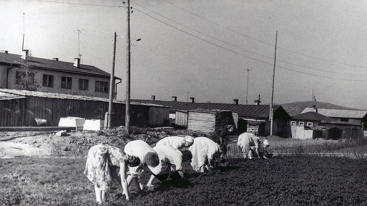 Снимок экрана 2021-03-05 в 14.06.39.png