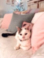ree