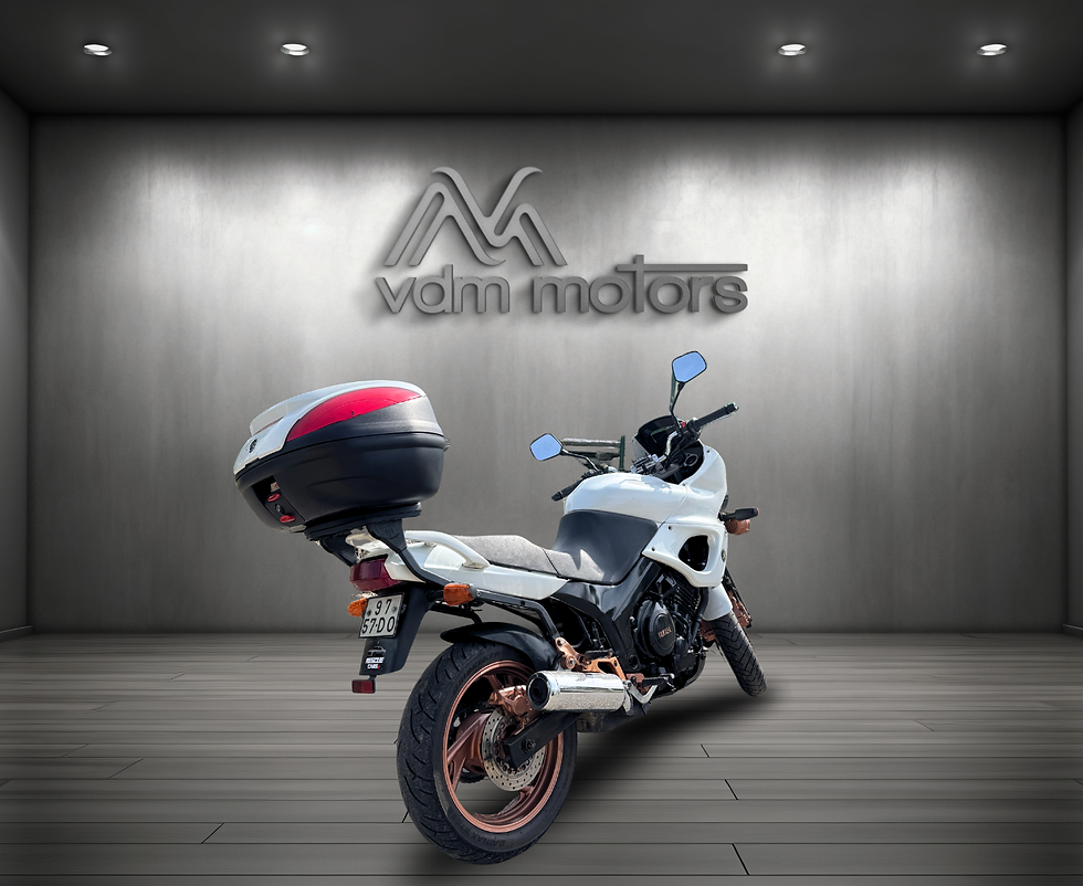 Miniatura: YAMAHA TDM 850 -1994