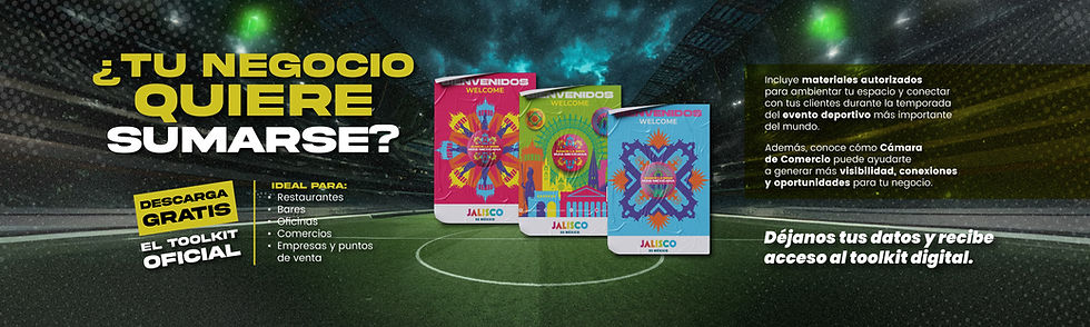 flyer datos mundial_banner web-05.jpg