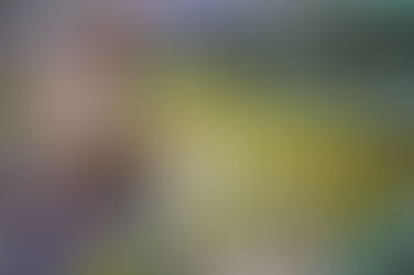 Principal cosecha: manzana