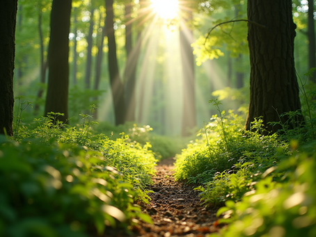 The Importance of Sustainable Living in Today's World