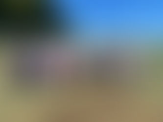 2023 October Mentor Series Photos