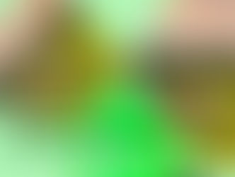 Curso de condutor de turismo