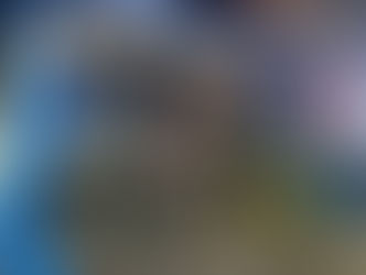 Apreensão de bicicletas