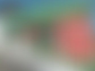 Violino, canto e capoeira