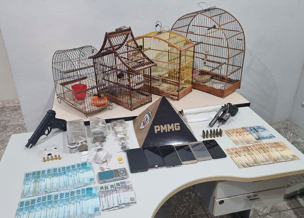 Outra grande apreensão foi em São José do Goiabal!