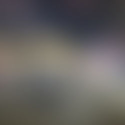 Feira de Economia Popular Solidária