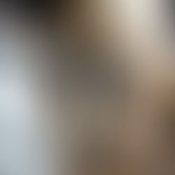 SIM Consmepi gera lucros e segurança alimentar