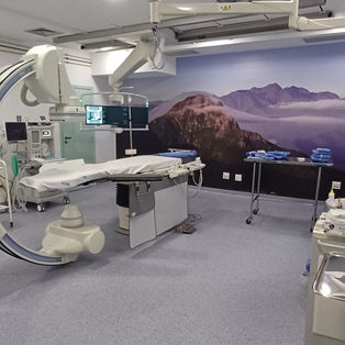 Expectativa no Margarida