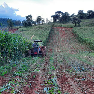 Inscrições abertas para patrulha agrícola