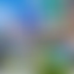 Estudantes do Ensino Médio recebem auxílio