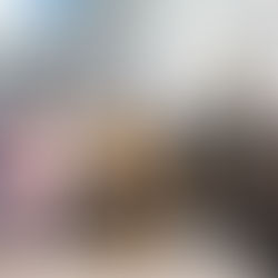 Novas viaturas reforçam o Proerd