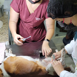 Castramóvel em João Monlevade