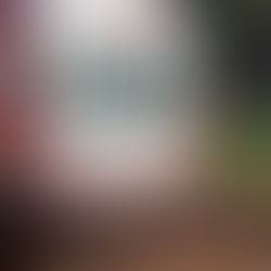 SEVOR - Mais de duzentas ocorrências