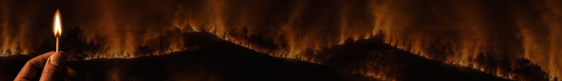 1100x160 09(2).gif