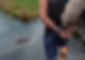 Homem preso no Estrela Dalva após agredir a companheira! (Foto ilustrativa)