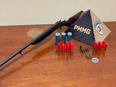 Presa por porte de arma de fogo