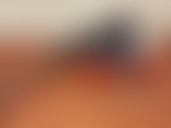 Presa por porte de arma de fogo