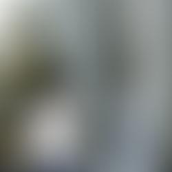 A conta de Brasília: R$6,5 milhões