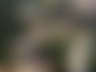 Prefeitura convoca população