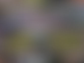 Cavalgada em São Gonçalo