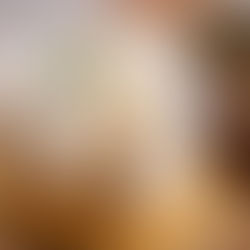 Produtores de queijo celebram