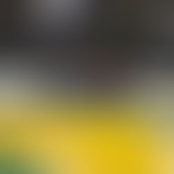 Núcleo gratuito de futsal