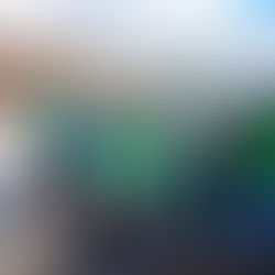 Monlevade contra a Dengue