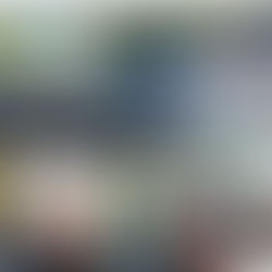 Na estrada de Rio Piracicaba