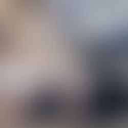 Perseguição e prisão