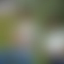 Inscrições na Fundação Crê-Ser